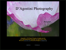 Tablet Screenshot of dagostini.com